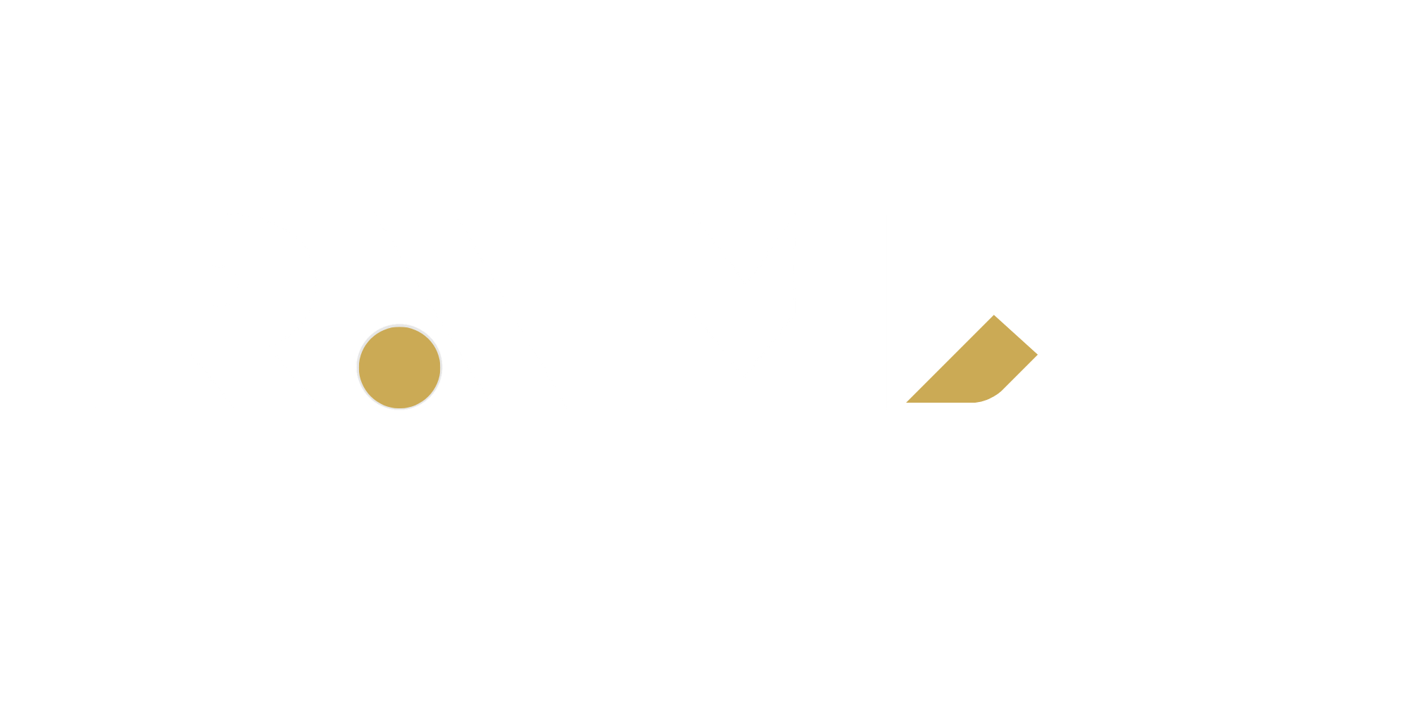 RAM-X Training Systems